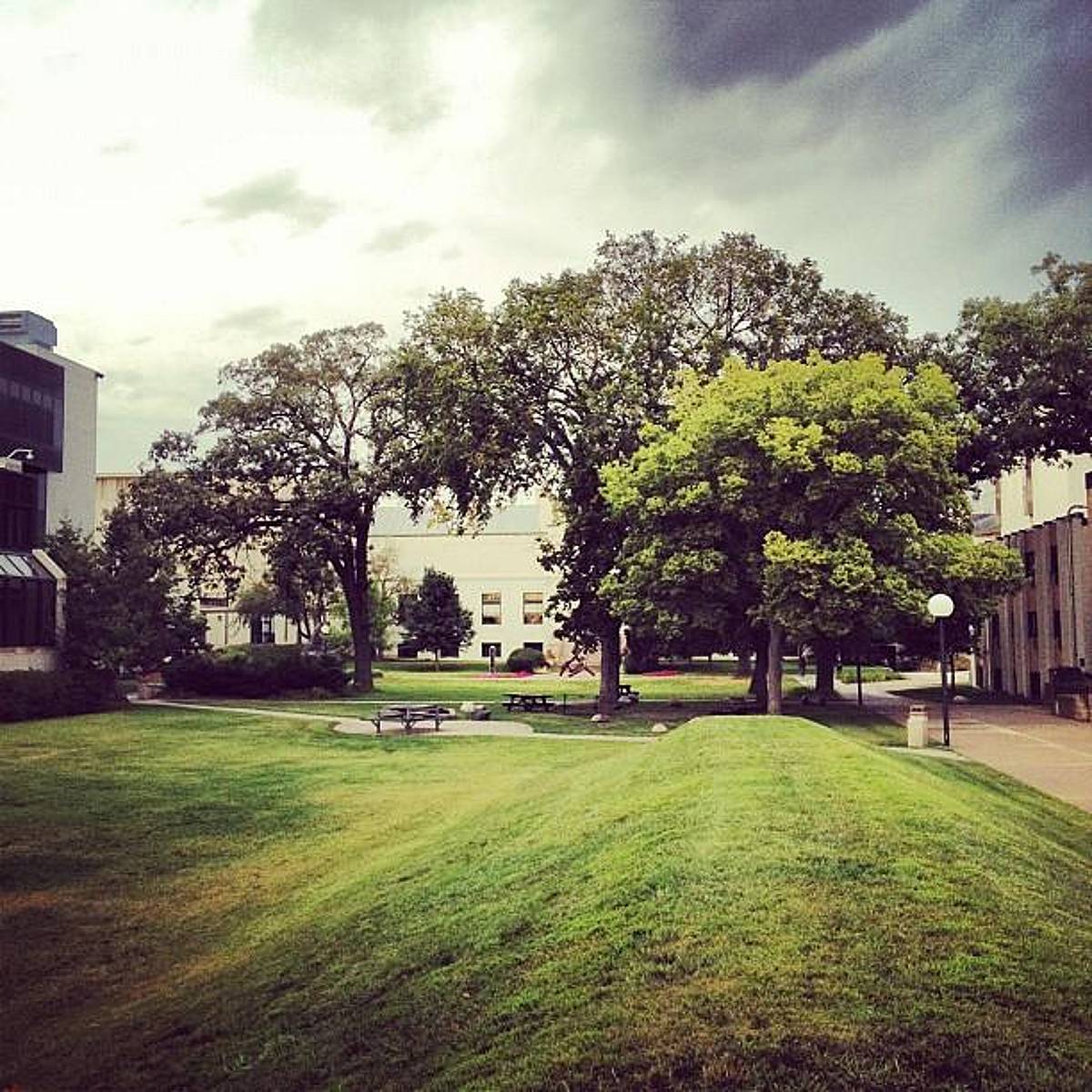 Minneapolis College of Art and Design campus