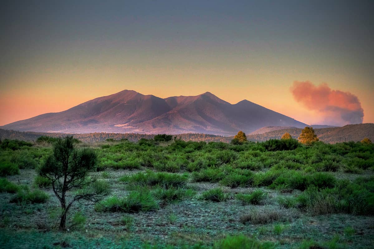 Northern Arizona University campus