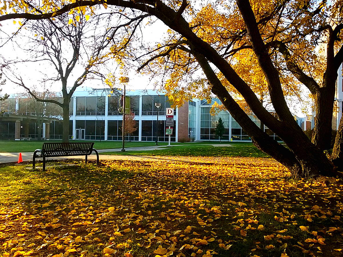 Triton College campus
