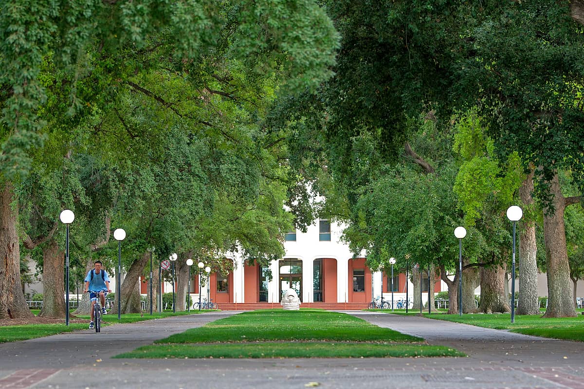 University of California Davis campus