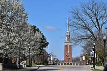 Anderson University