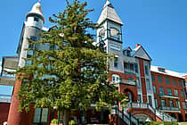 Andrew College