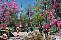 Berea College