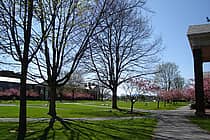 Bucknell University