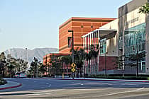 California State University Los Angeles