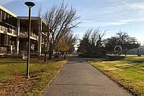 California State University Stanislaus