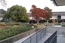 College of Marin