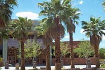 College of Southern Nevada