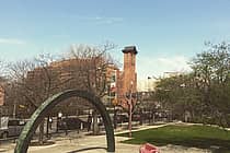 CUNY York College