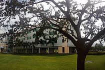 Florida International University
