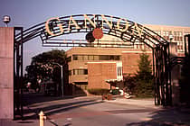 Gannon University