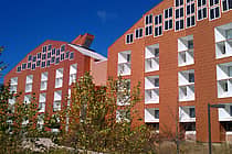 Judson University
