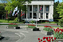Marywood University