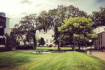 Minneapolis College of Art and Design