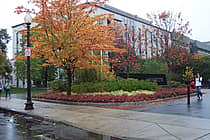 Northeastern University