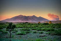 Northern Arizona University