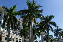 Nova Southeastern University