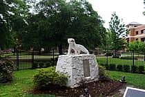 Ouachita Baptist University