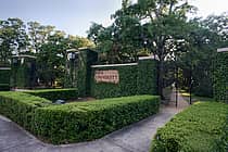 Rice University