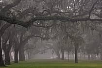 Savannah State University