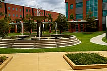 Texas Southern University