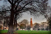The University of Alabama