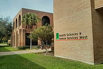 The University of Texas Rio Grande Valley