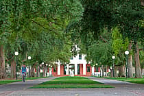 University of California Davis