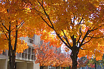 University of Maryland Baltimore County