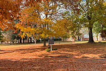 University of Montevallo