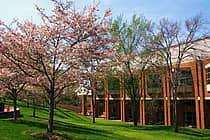 University of North Carolina at Charlotte