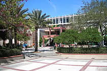 University of South Florida