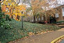 Vanderbilt University