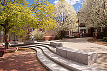 Western New England University
