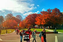 York College of Pennsylvania