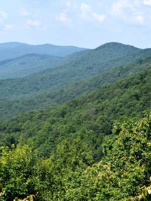 Georgia