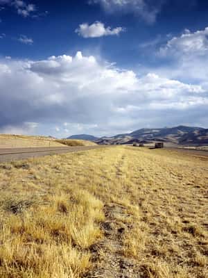 Idaho