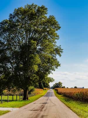 Indiana