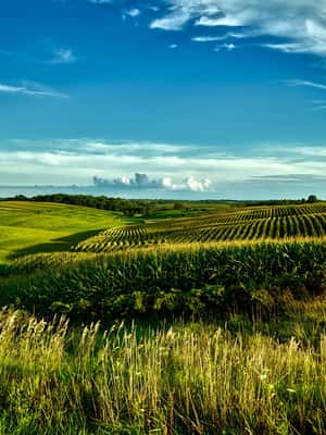 Iowa