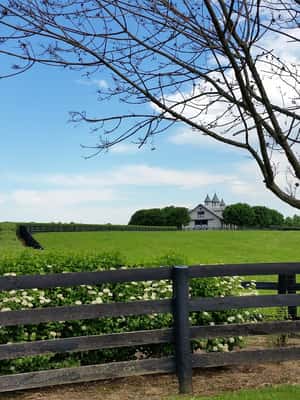 Kentucky