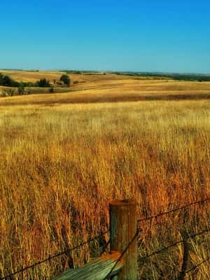 Nebraska