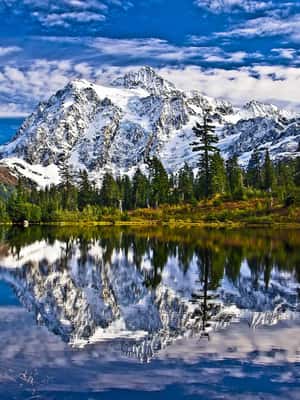 Washington