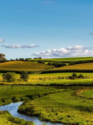 Wisconsin
