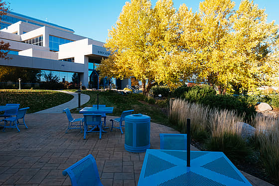 Bellevue University Campus