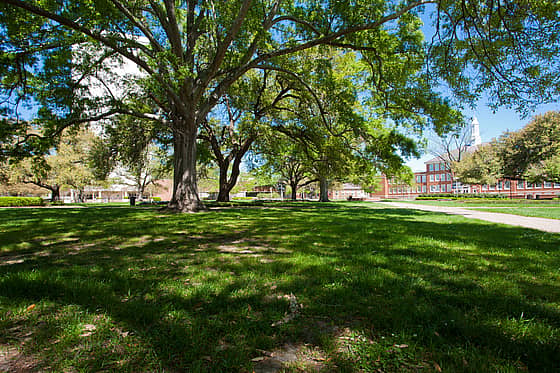 Louisiana Tech University Campus