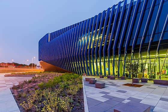 Northeastern Illinois University Campus