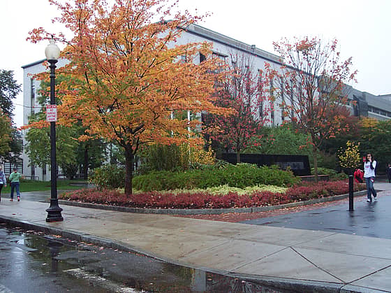 Northeastern University Campus