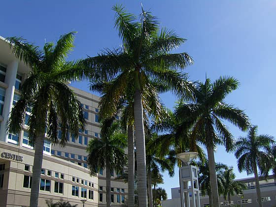 Nova Southeastern University Campus