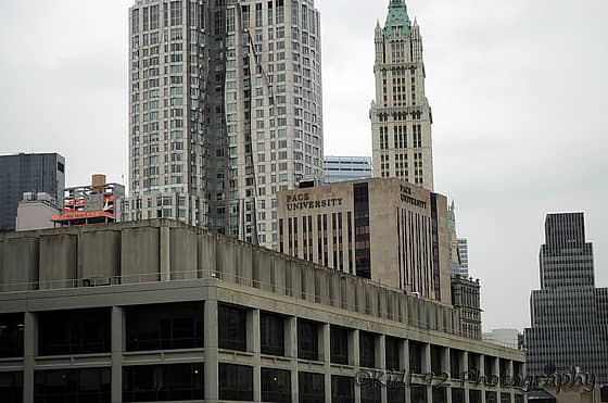 Pace University Campus