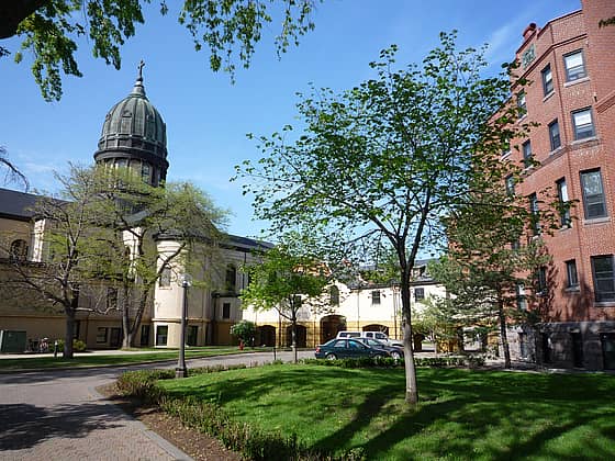 Saint Johns University Campus